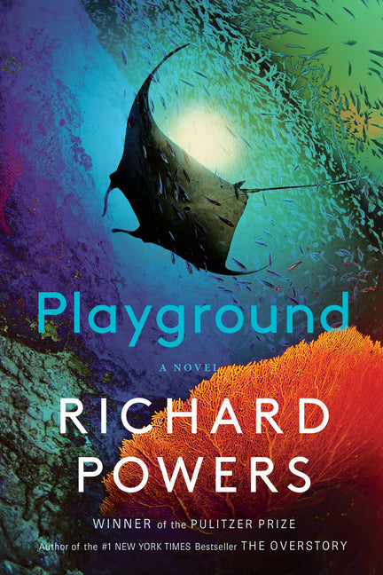 Book cover for Playground