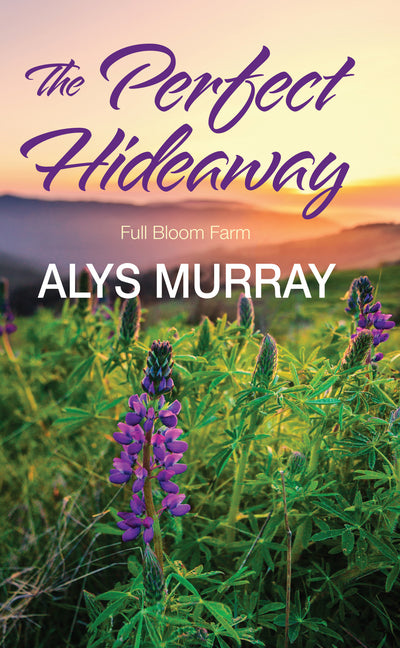 Book cover for Perfect Hideaway