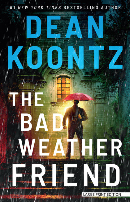 Book cover for Bad Weather Friend