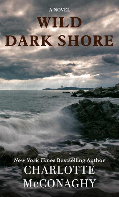 Book cover for Wild Dark Shore