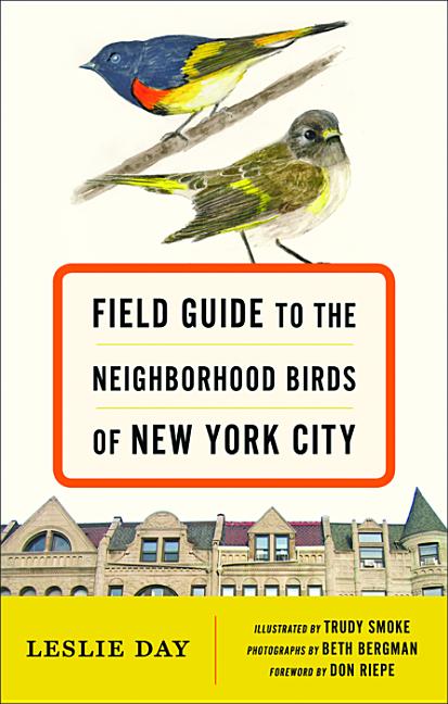 Book cover for Field Guide to the Neighborhood Birds of New York City