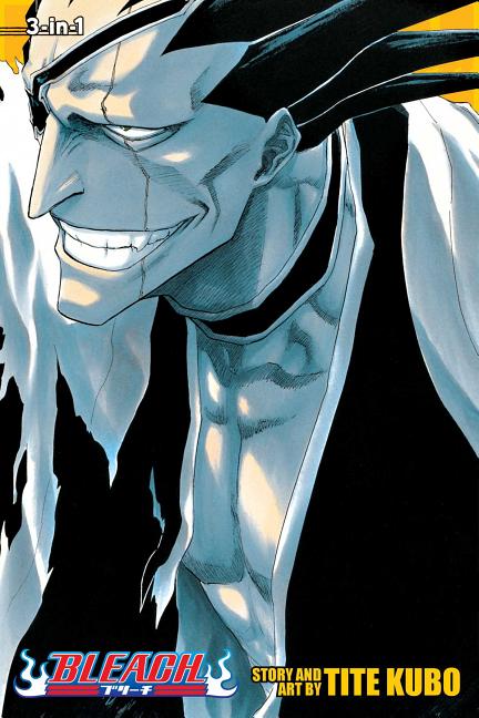 Book cover for Bleach, Volumes 13-15