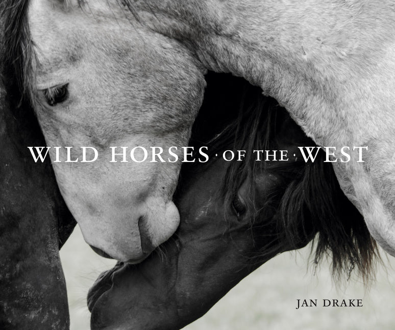 Book cover for Wild Horses of the West