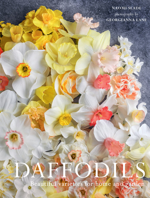 Book cover for Daffodils: Beautiful Varieties for Home and Garden