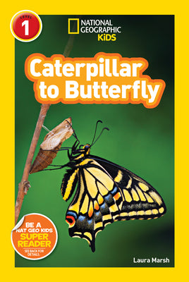 Book cover for Caterpillar to Butterfly