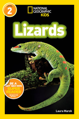Book cover for Lizards
