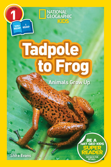 Book cover for Tadpole to Frog (National Geographic Kids Readers, Level 1/Co-Reader): Animals Grow Up