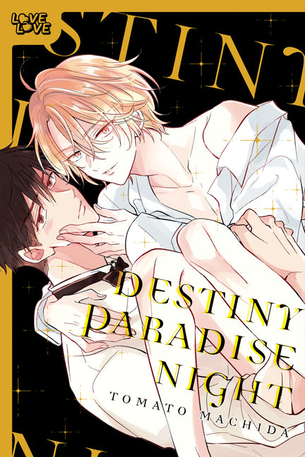 Book cover for Destiny Paradise Night