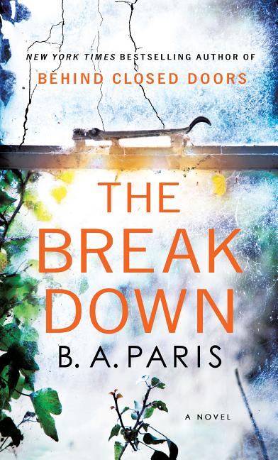 Book cover for The Breakdown