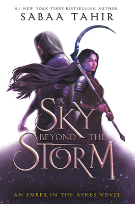 Book cover for A Sky Beyond the Storm