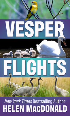 Book cover for Vesper Flights