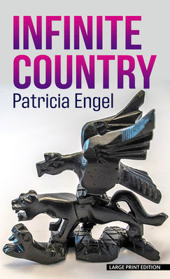 Book cover for Infinite Country