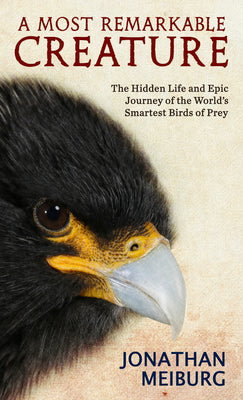 Book cover for A Most Remarkable Creature