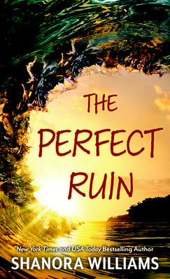 Book cover for The Perfect Ruin