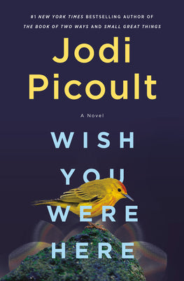 Book cover for Wish You Were Here