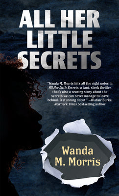 Book cover for All Her Little Secrets