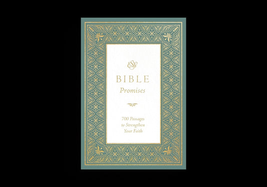 Book cover for ean 9781433591884