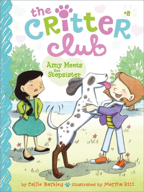 Book cover for Amy Meets Her Stepsister