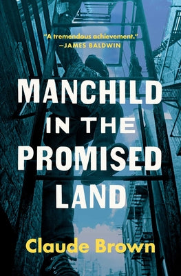 Book cover for Manchild in the Promised Land