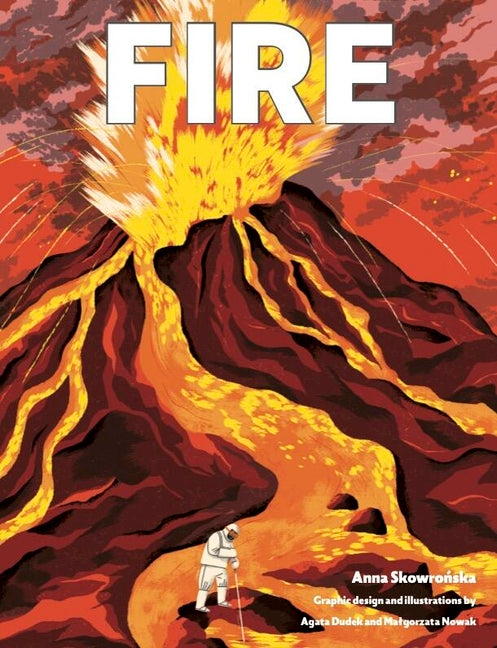 Book cover for Fire