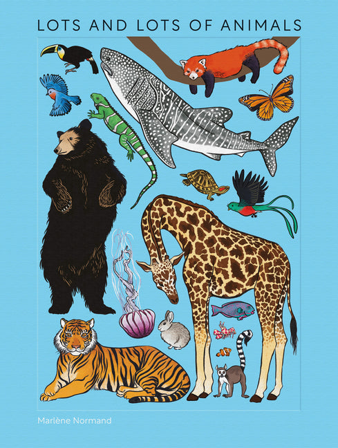 Book cover for Lots and Lots of Animals