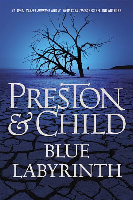 Book cover for Blue Labyrinth