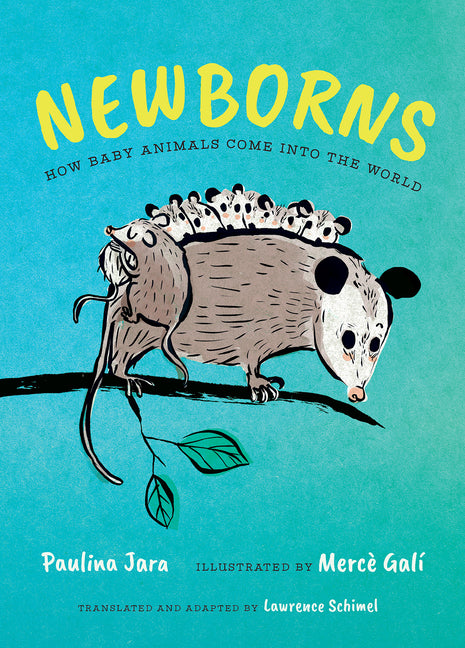 Book cover for Newborns: How Baby Animals Come Into the World