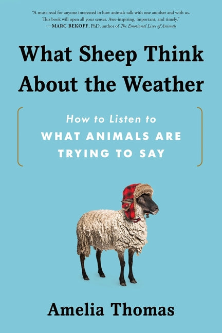 Book cover for What Sheep Think about the Weather: How to Listen to What Animals Are Trying to Say