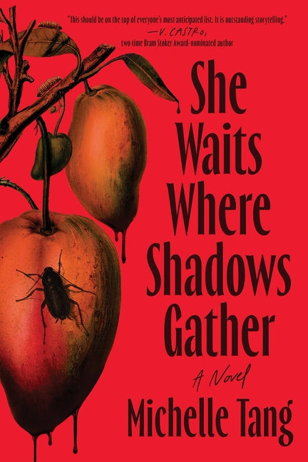 Book cover for She Waits Where Shadows Gather