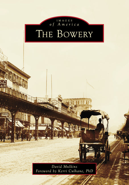 Book cover for Bowery