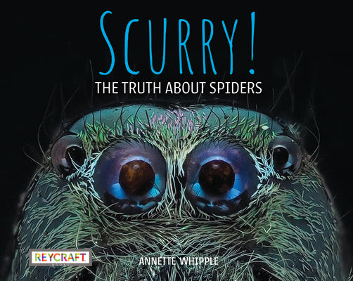 Book cover for Scurry! the Truth about Spiders