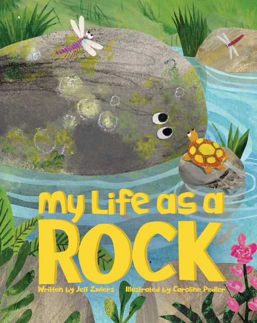 Book cover for My Life as a Rock