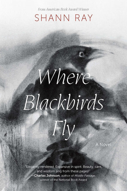 Book cover for Where Blackbirds Fly