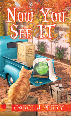 Book cover for Now You See It