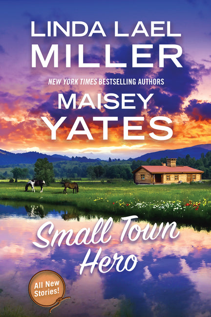 Book cover for Small Town Hero