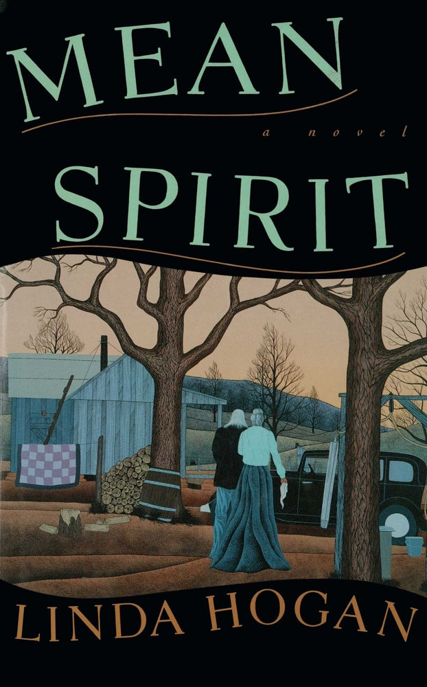 Book cover for Mean Spirit