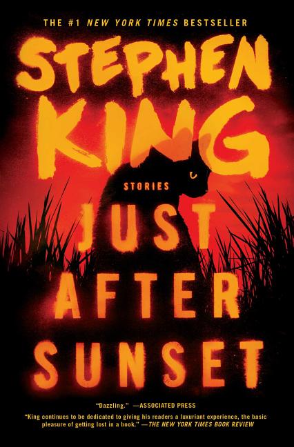 Book cover for Just After Sunset: Stories