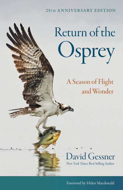 Book cover for Return of the Osprey: A Season of Flight and Wonder (Anniversary)