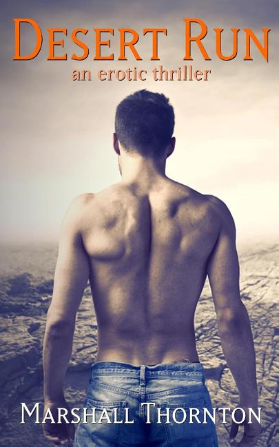 Book cover for Desert Run