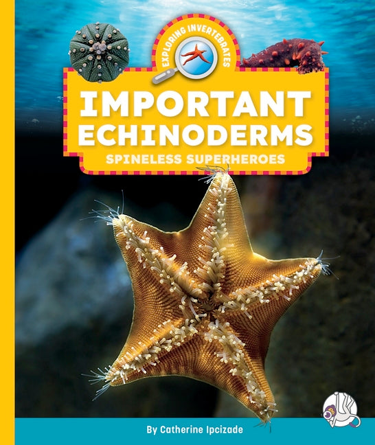 Book cover for Important Echinoderms: Spineless Superheroes