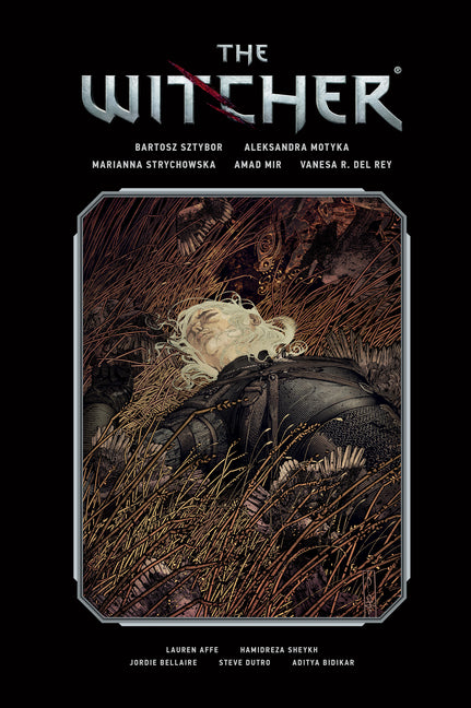 Book cover for Witcher Library Edition Volume 2