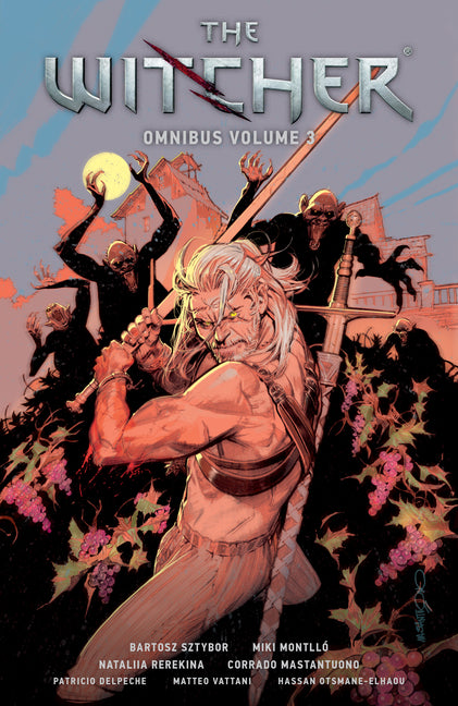Book cover for Witcher Omnibus Volume 3