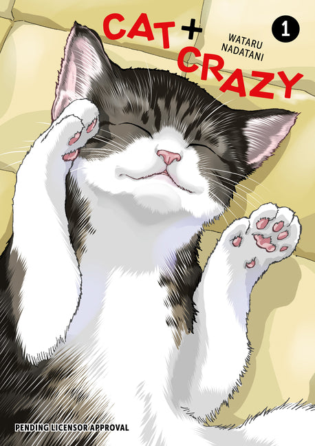 Book cover for Cat + Crazy Volume 1