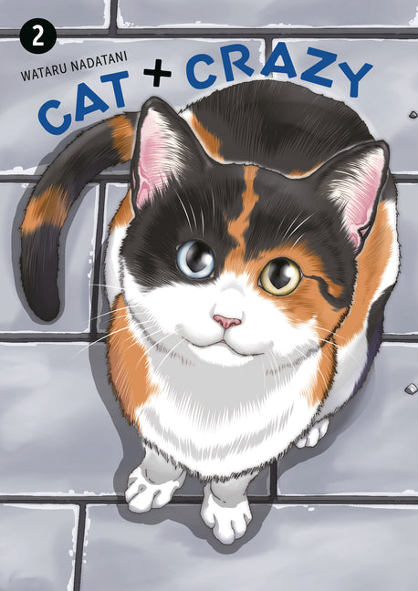 Book cover for Cat + Crazy Volume 2