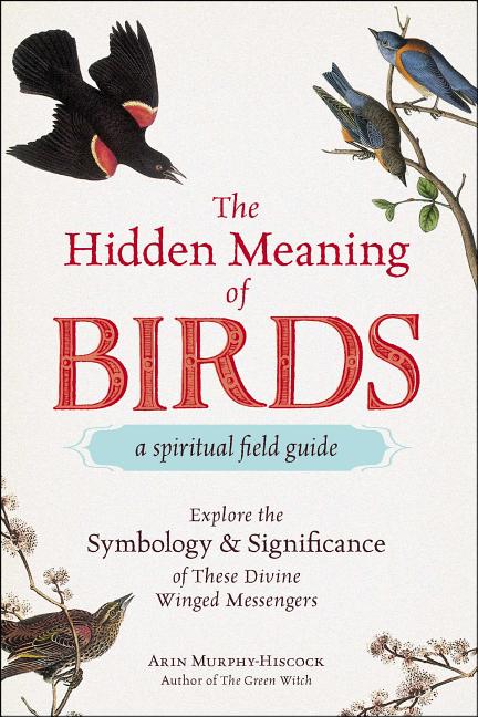 Book cover for Hidden Meaning of Birds--A Spiritual Field Guide: Explore the Symbology and Significance of These Divine Winged Messengers