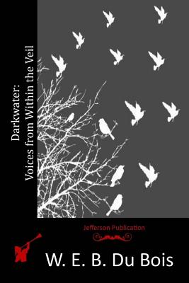 Book cover for Darkwater: Voices from Within the Veil
