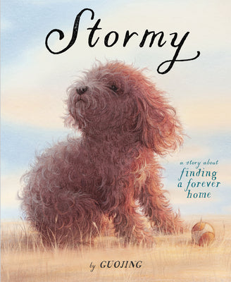 Book cover for Stormy: A Story about Finding a Forever Home