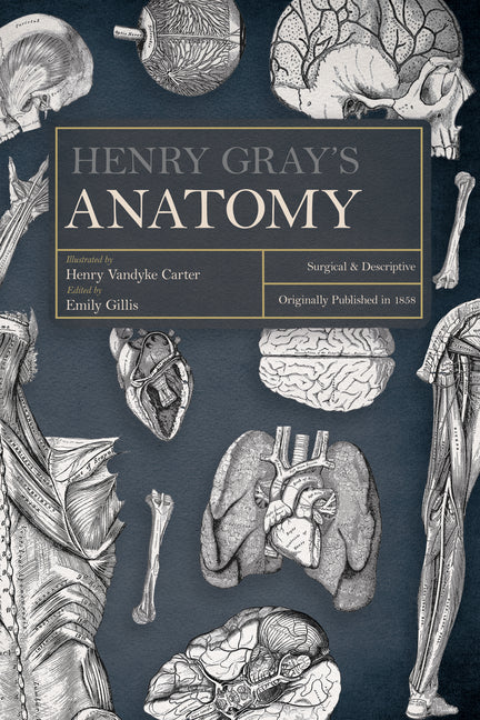 Book cover for Henry Gray's Anatomy: Surgical and Descriptive