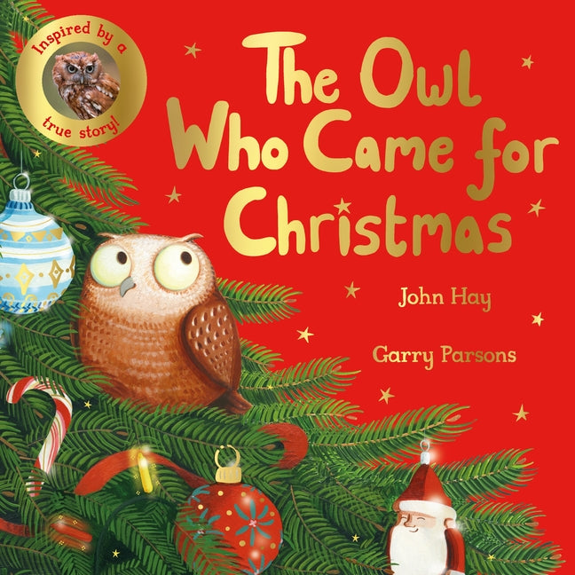 Book cover for Owl Who Came for Christmas