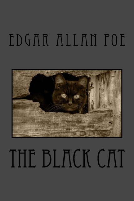 Book cover for Black Cat